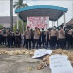 Kantor PLN Bau Busuk Dilempar Ribuan Ayam Mati, Peternak Me-deadline Senin, Desak Solusi Pemadaman Listrik