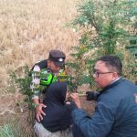 Kecelakaan Tiga Sepeda Motor di Kemangkon, Polisi Evakuasi Korban ke Rumah Sakit